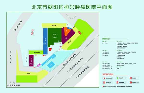 哈～啊肏慢点北京市朝阳区桓兴肿瘤医院平面图